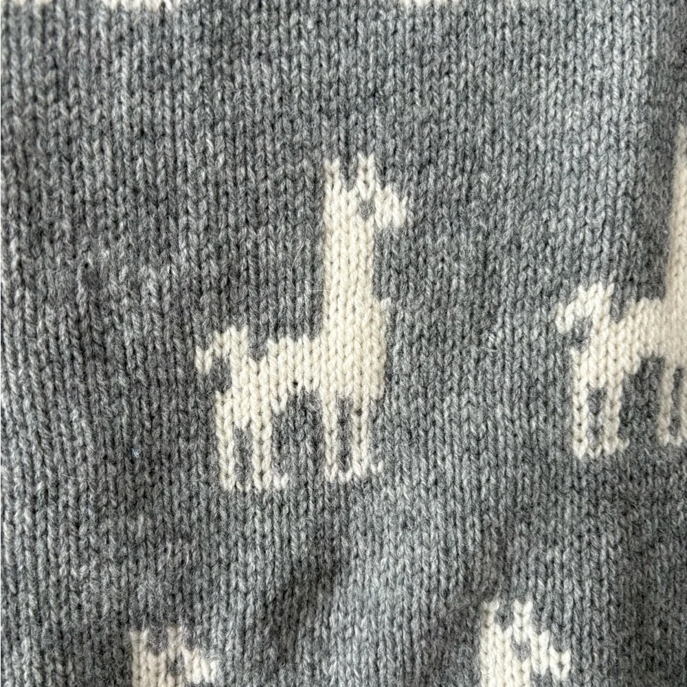 J. Crew Wool LLama Sweater